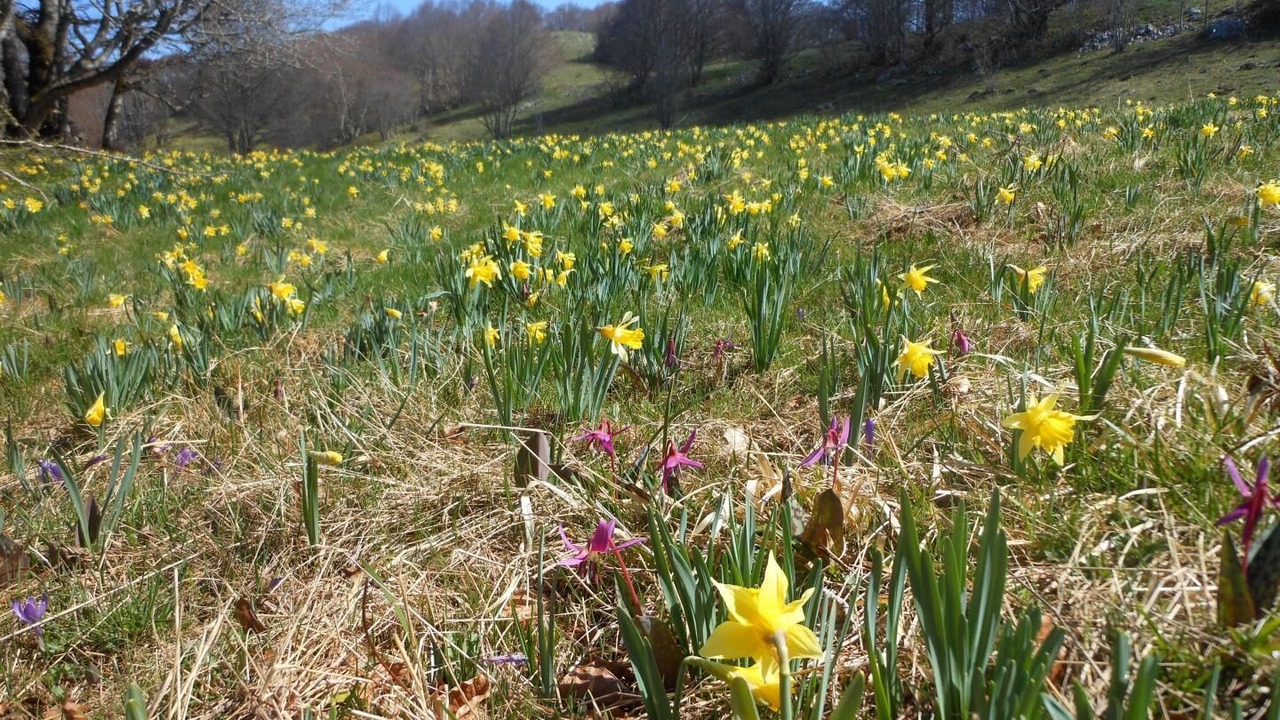 Photo of Outdoor in Le Grand-Abergement