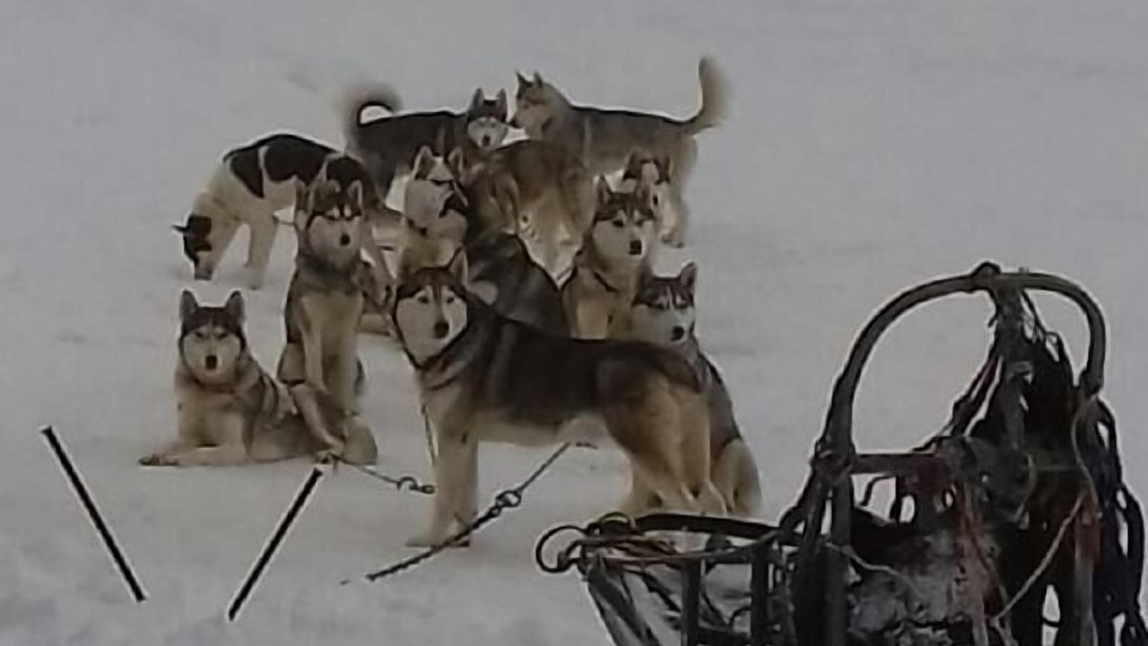 Photo of Others in Belleydoux