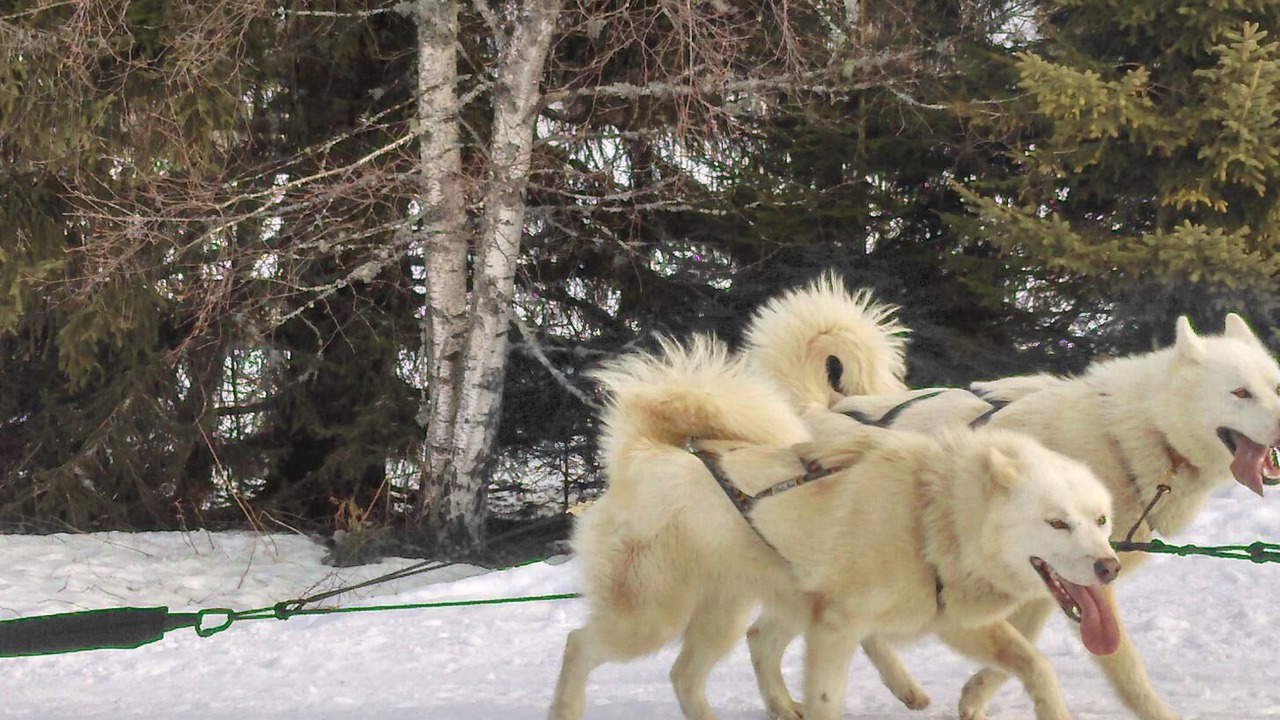 Photo of Others in Belleydoux