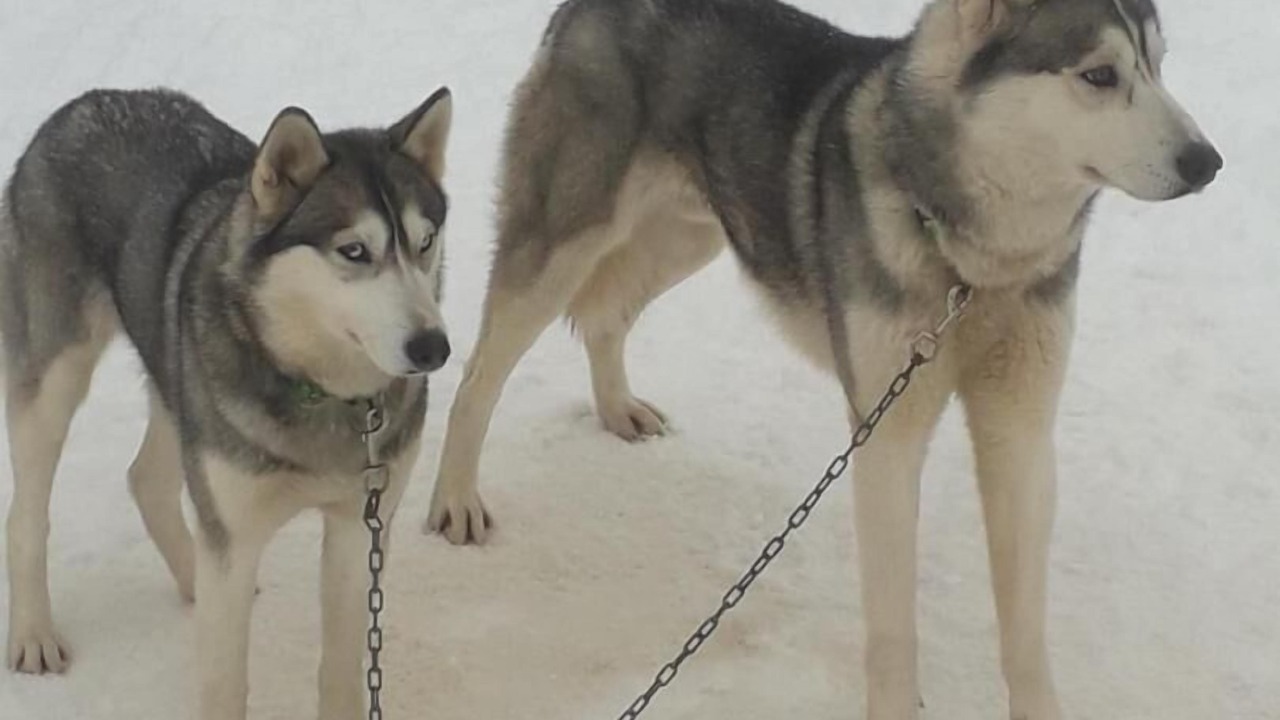 Photo of Outdoor in Belleydoux