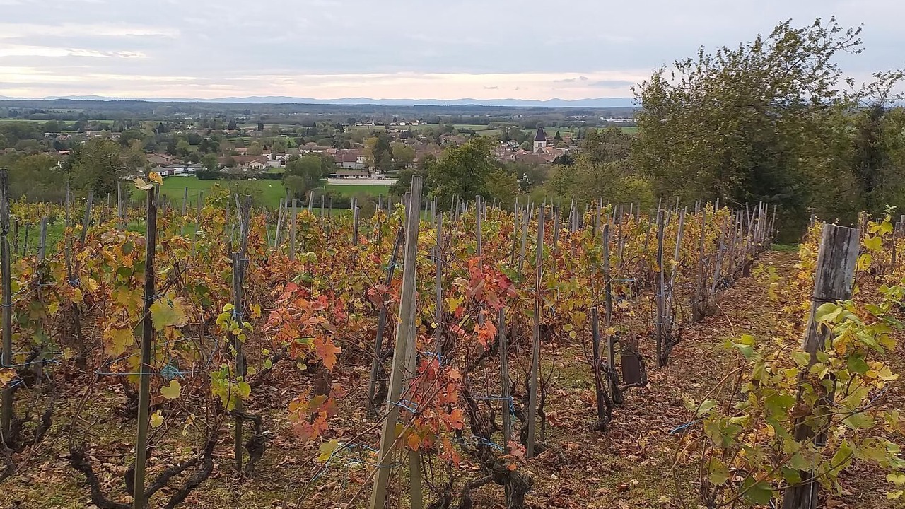 Photo of Others in Tossiat