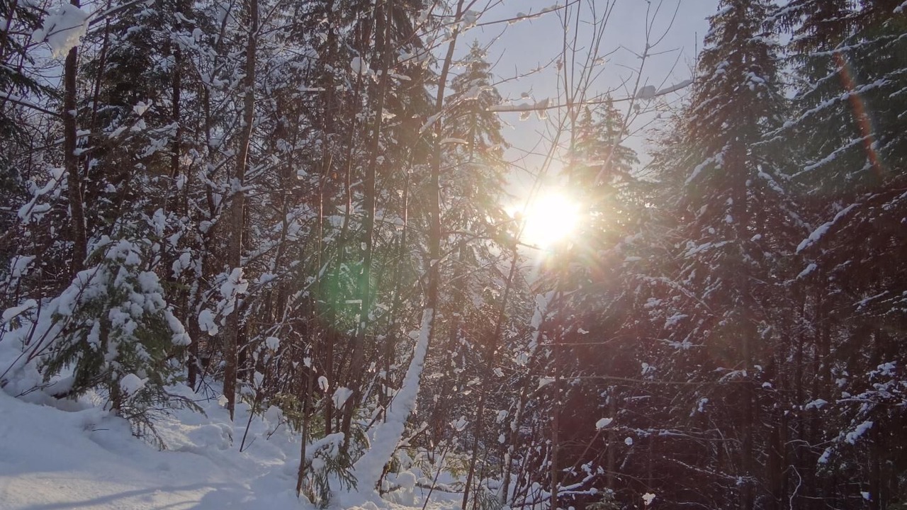 Photo of Others in Mijoux