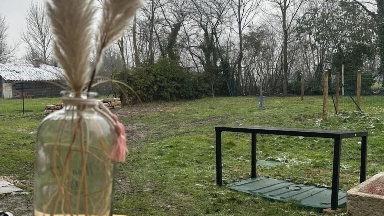Photo of Outdoor in Marboz