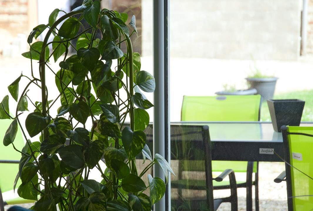 Photo of Outdoor in Saint-Benigne