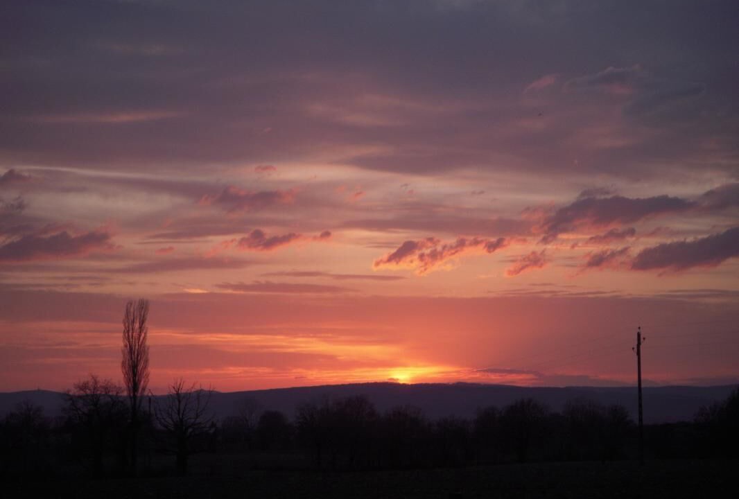 Photo of Others in Saint-Benigne