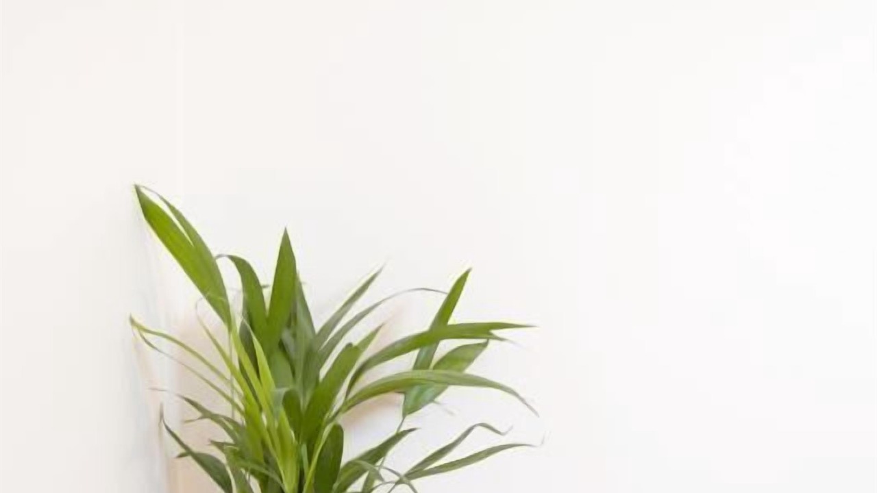 Photo of Others in Belmont-Luthezieu