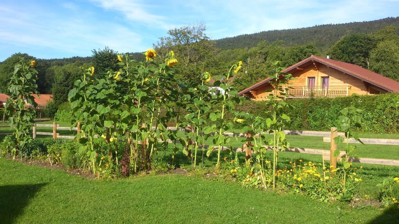 Photo of Outdoor in Outriaz