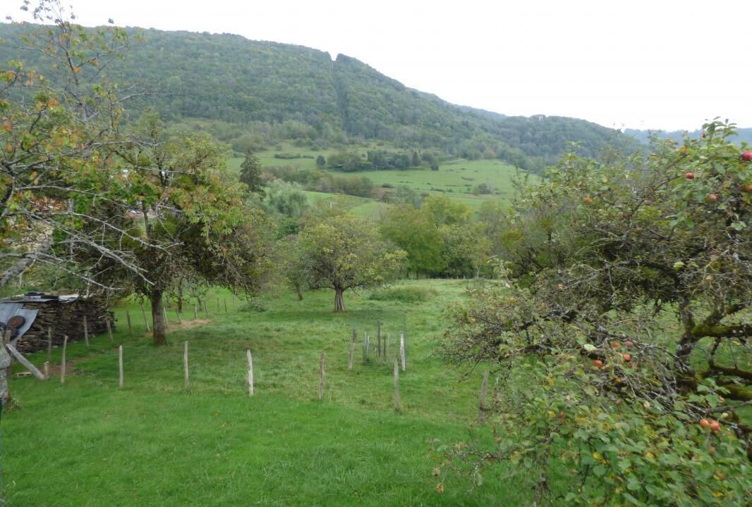 Photo of Outdoor in Boyeux-Saint-Jerome