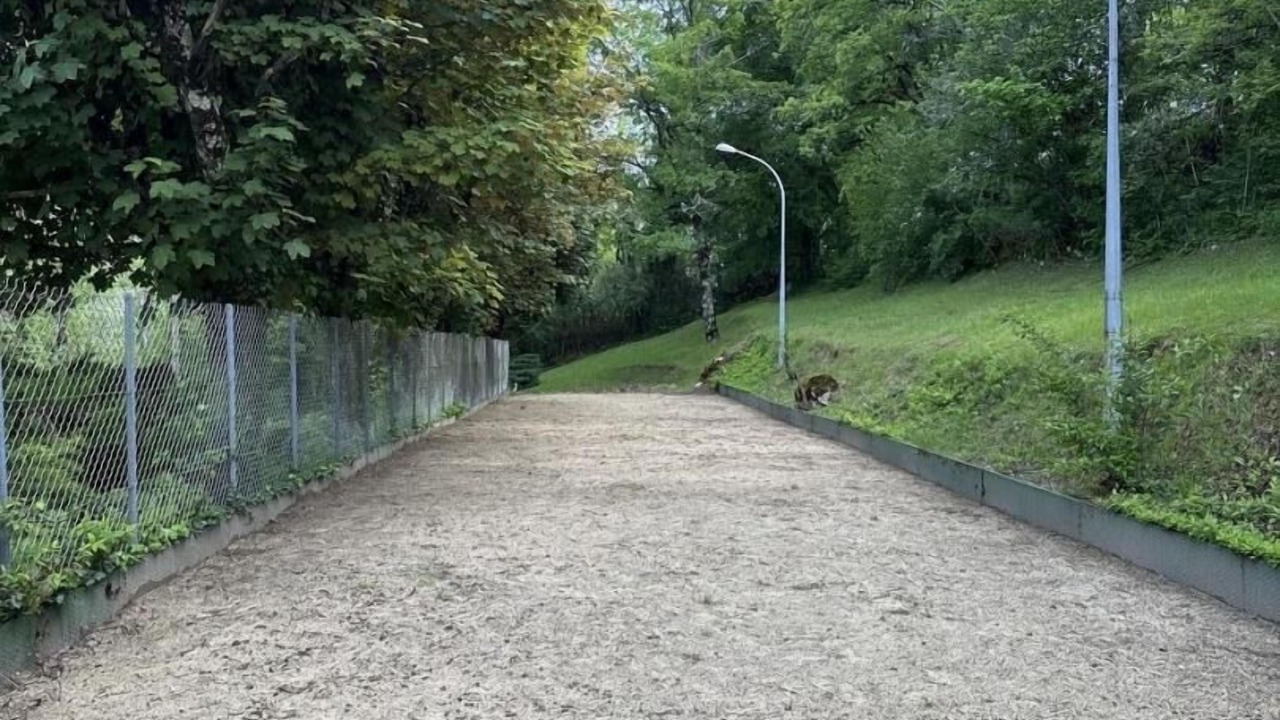 Photo of Outdoor in Conzieu