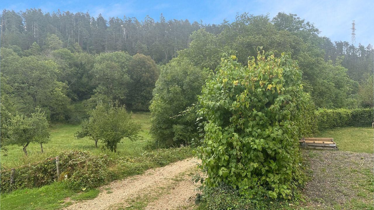 Photo of Others in Sonthonnax-la-Montagne