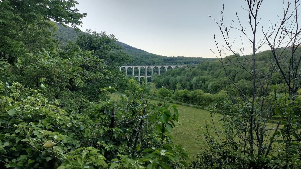 Photo of Others in Corveissiat