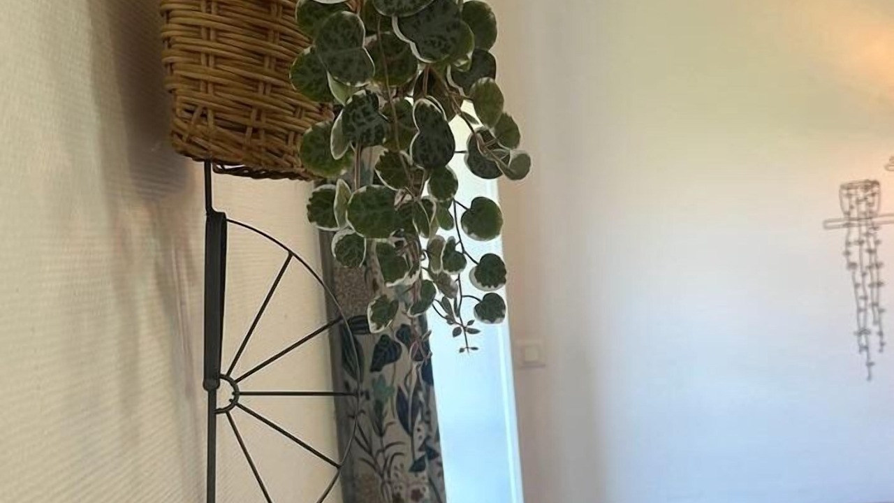 Photo of Others in Corveissiat