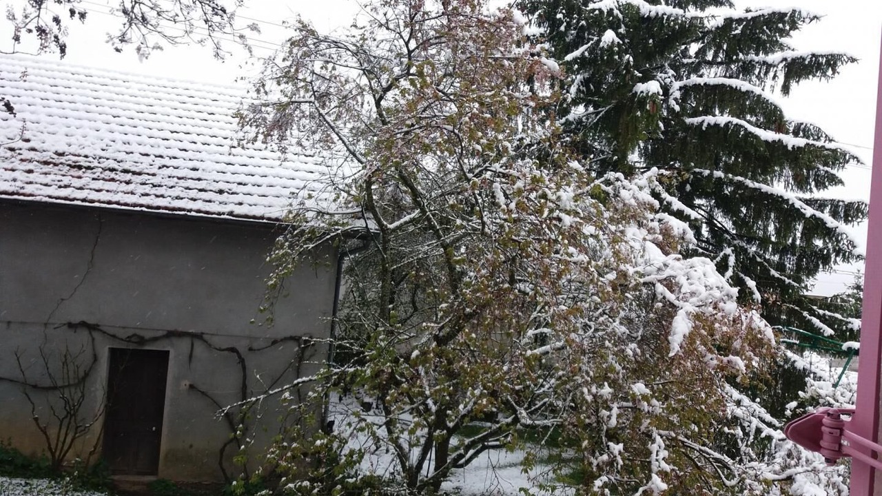 Photo of Outdoor in Corbonod