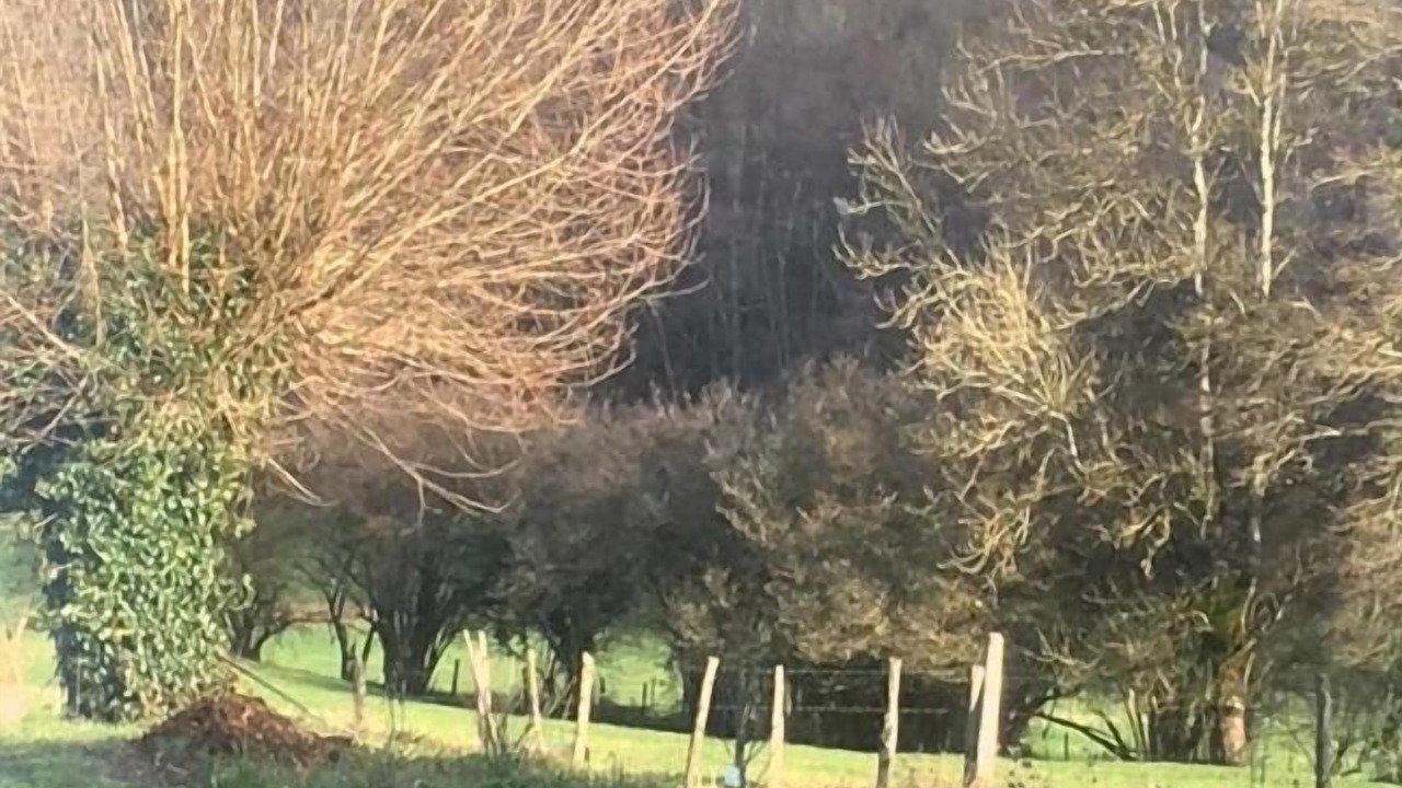 Photo of Outdoor in Montagnat