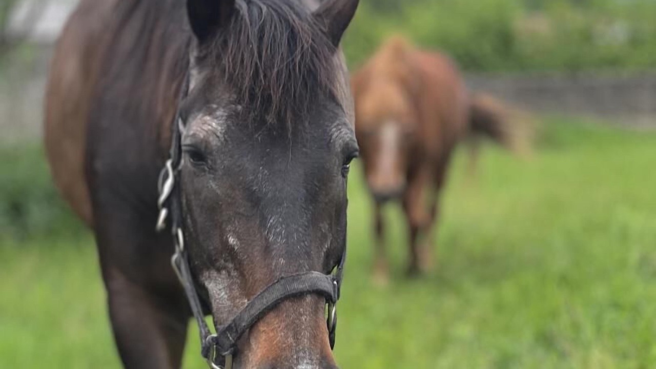 Photo of Outdoor in Chazey-sur-Ain