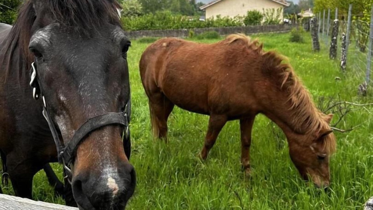 Photo of Outdoor in Chazey-sur-Ain