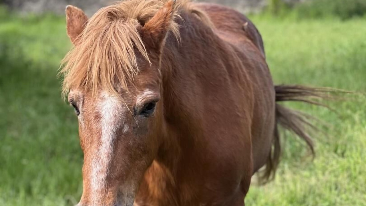 Photo of Outdoor in Chazey-sur-Ain