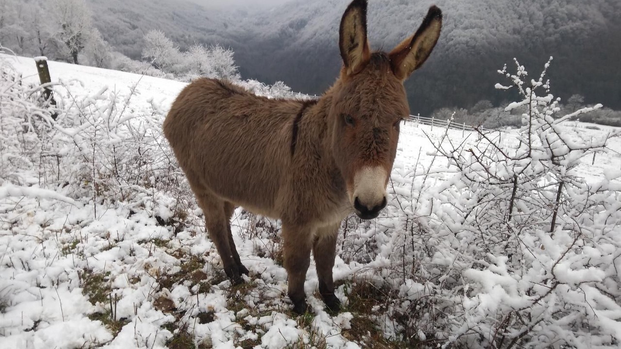 Photo of Outdoor in Boyeux-Saint-Jerome