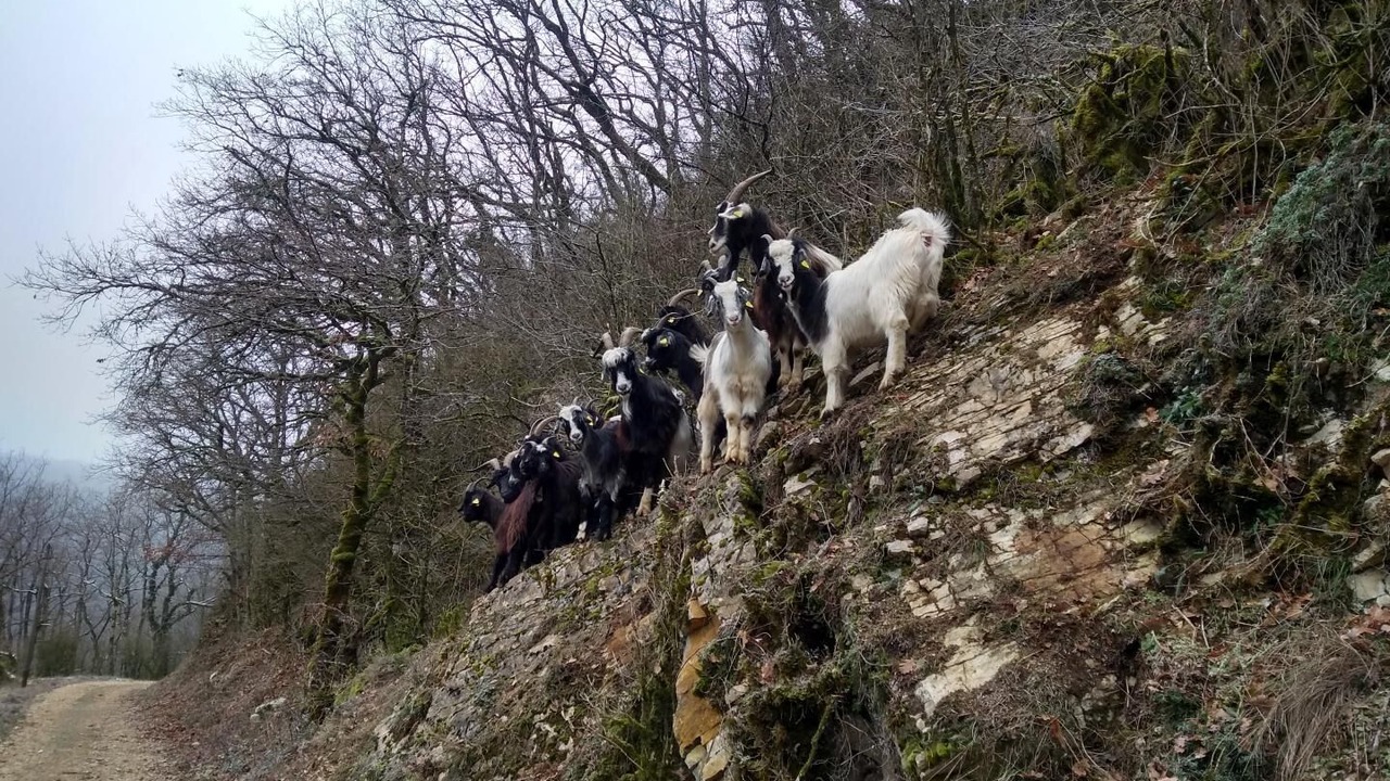 Photo of Others in Boyeux-Saint-Jerome