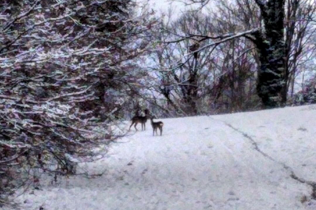 Photo of Others in Boyeux-Saint-Jerome