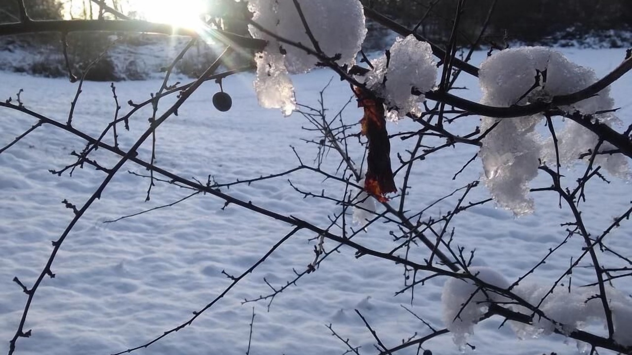 Photo of Bathroom in Boyeux-Saint-Jerome