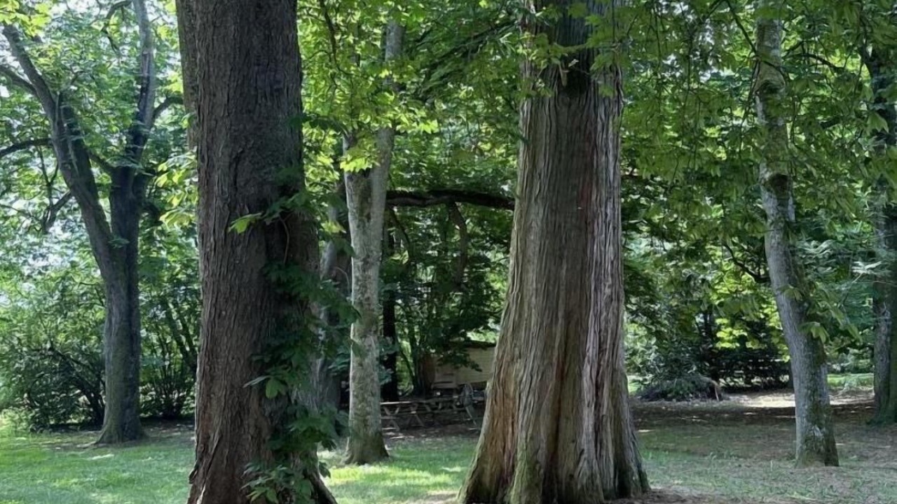 Photo of Outdoor in Bage-la-Ville
