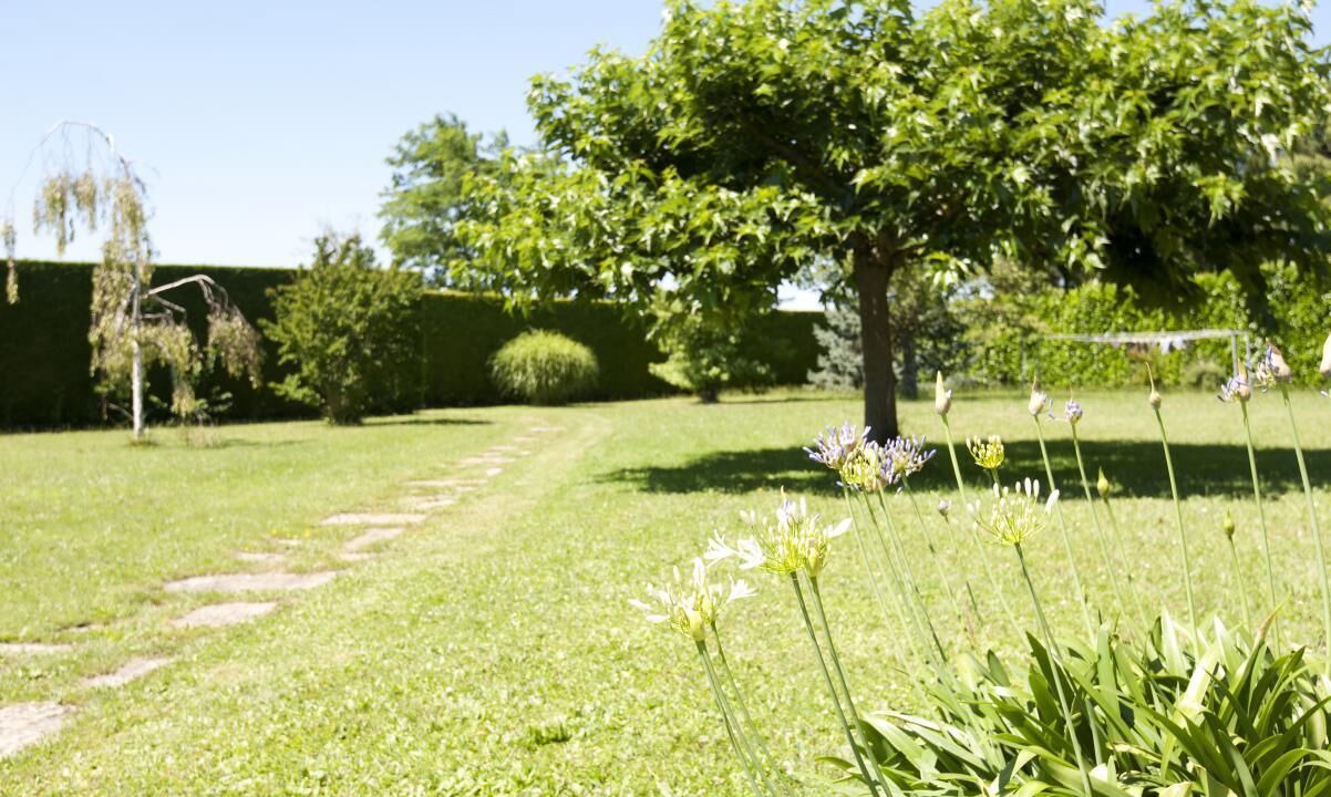 Photo of Outdoor in Saint-Etienne-sur-Chalaronne
