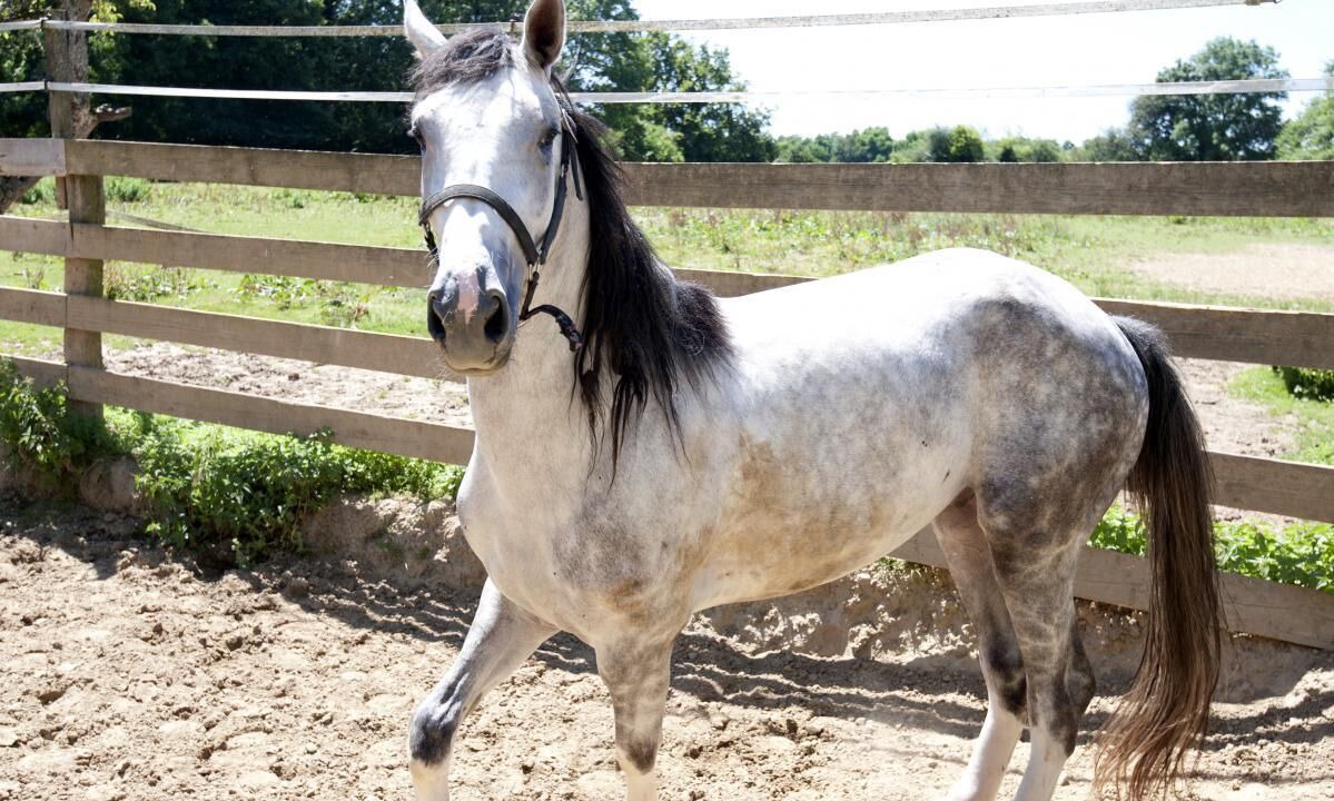 Photo of Outdoor in Saint-Etienne-sur-Chalaronne
