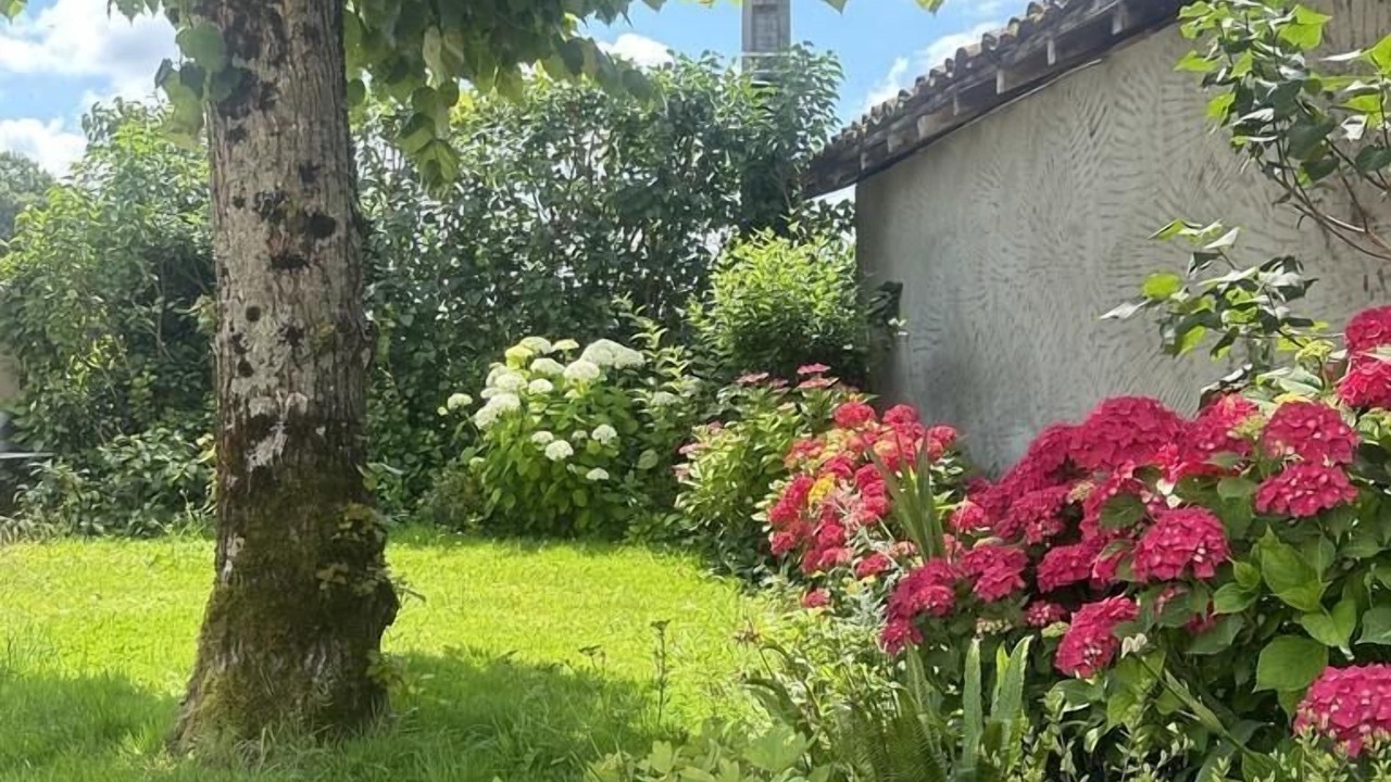 Photo of Outdoor in Montracol