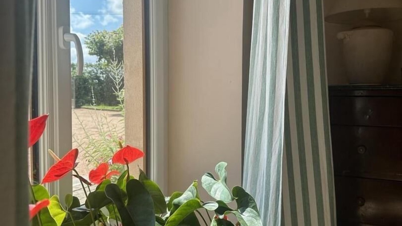 Photo of Others in Montracol