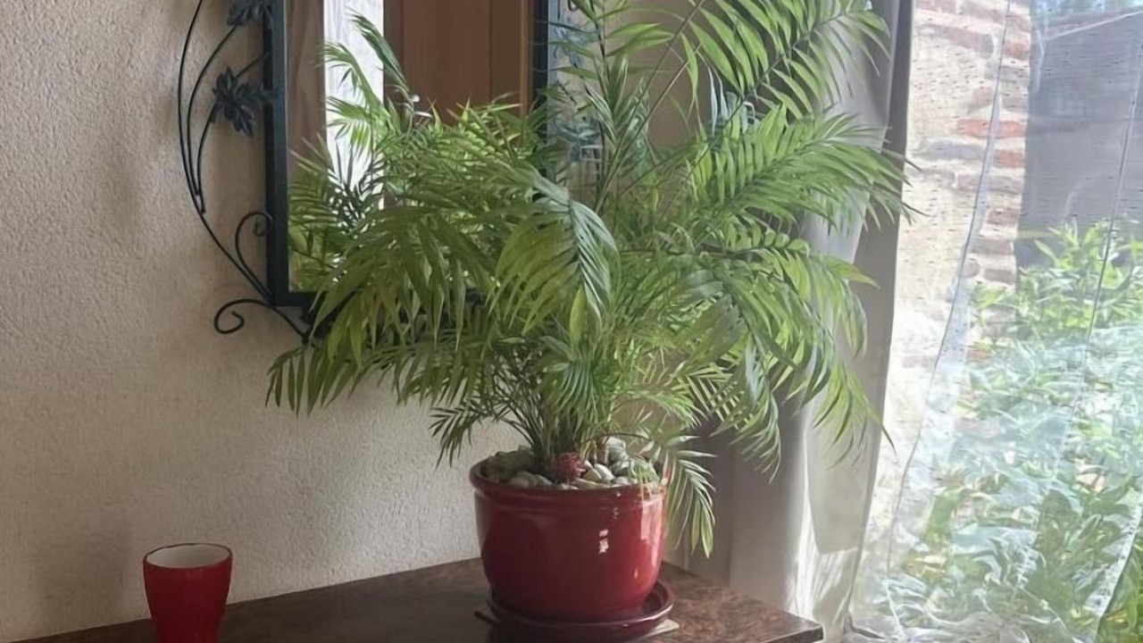 Photo of Others in Montracol