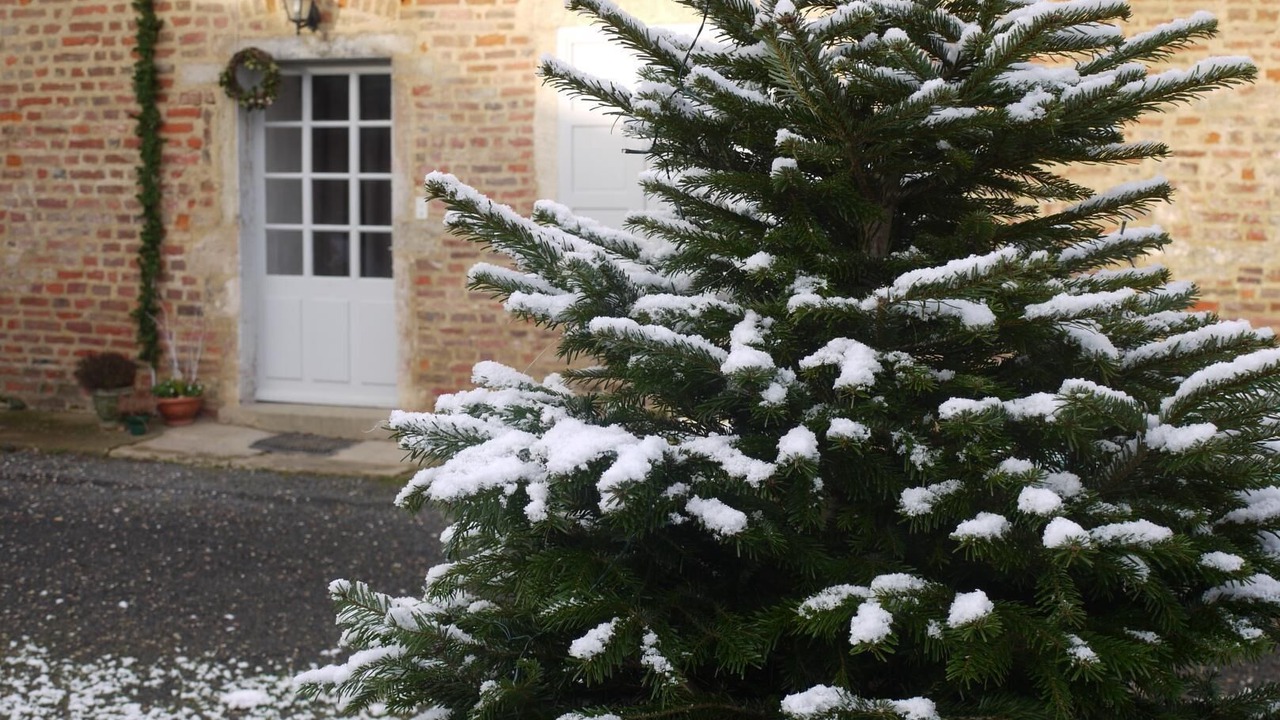 Photo of Outdoor in Chanoz-Chatenay