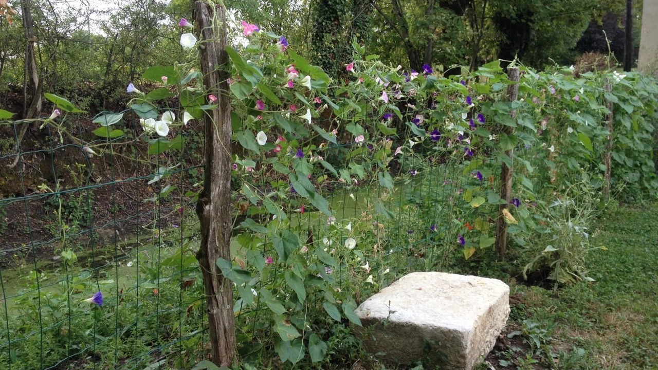 Photo of Outdoor in Chanoz-Chatenay