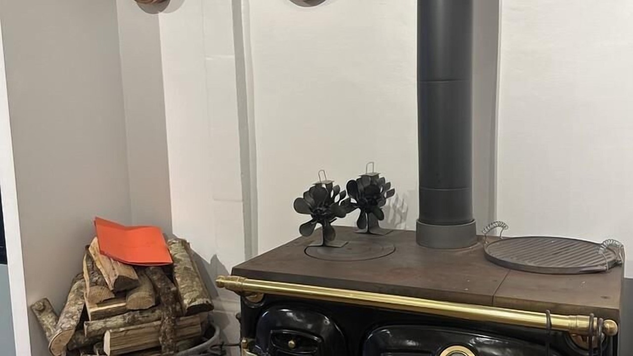 Photo of Others in Saint-Bernard