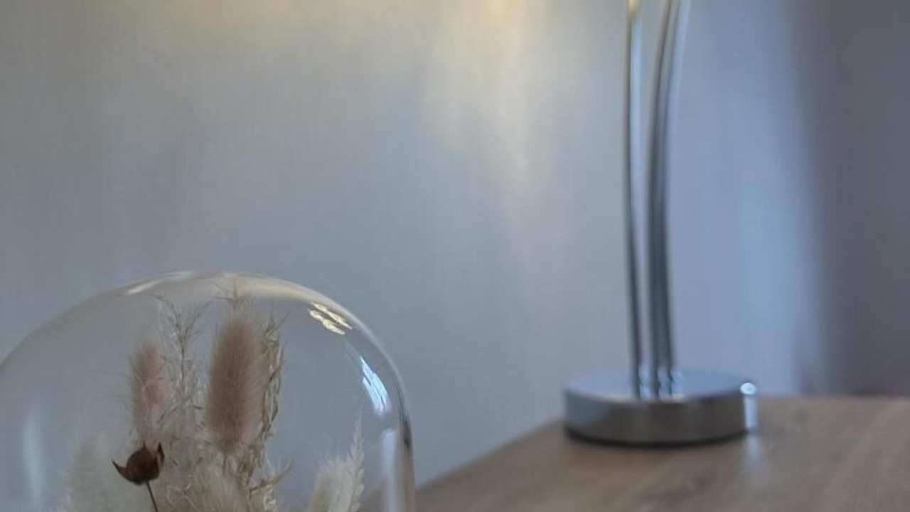 Photo of Others in Saint-Benigne