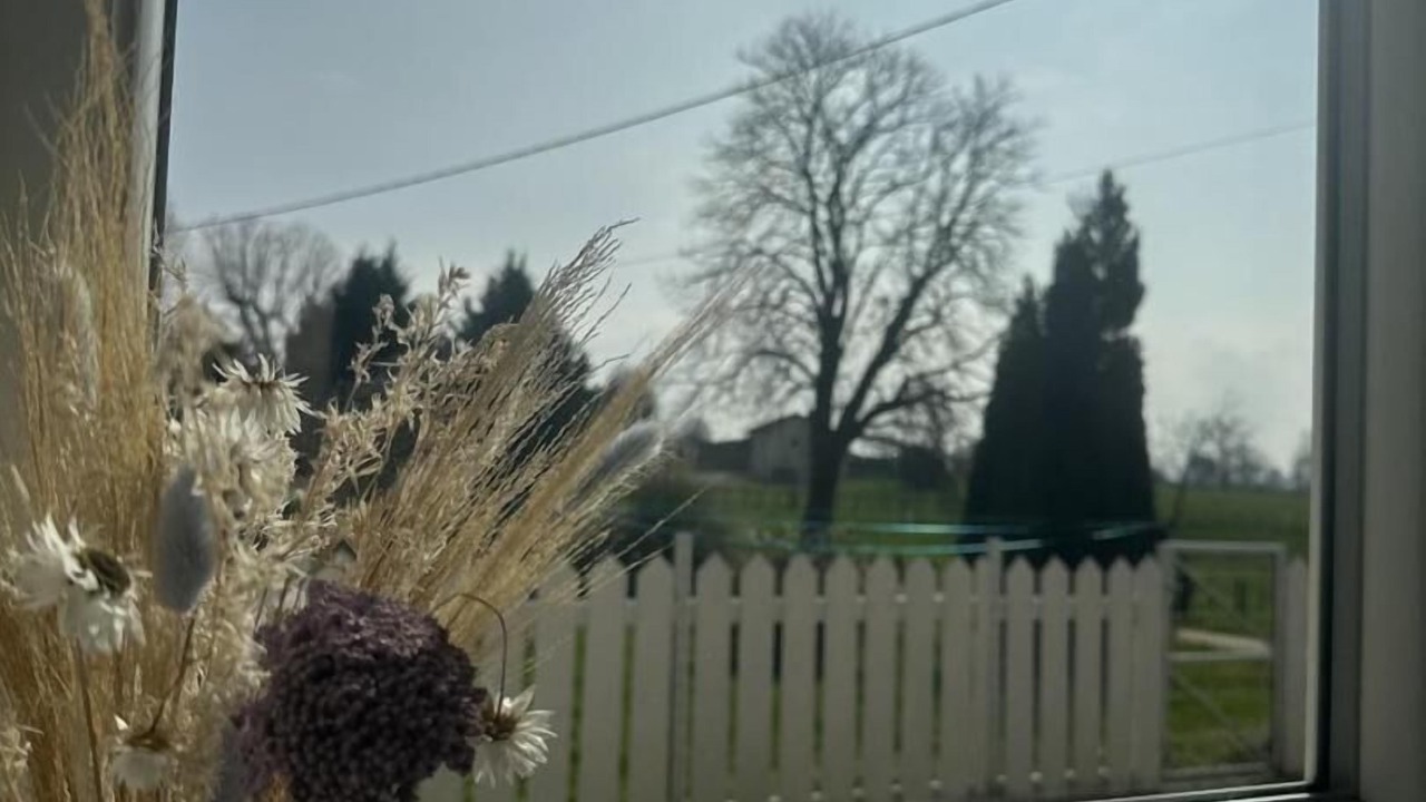 Photo of Others in Saint-Benigne