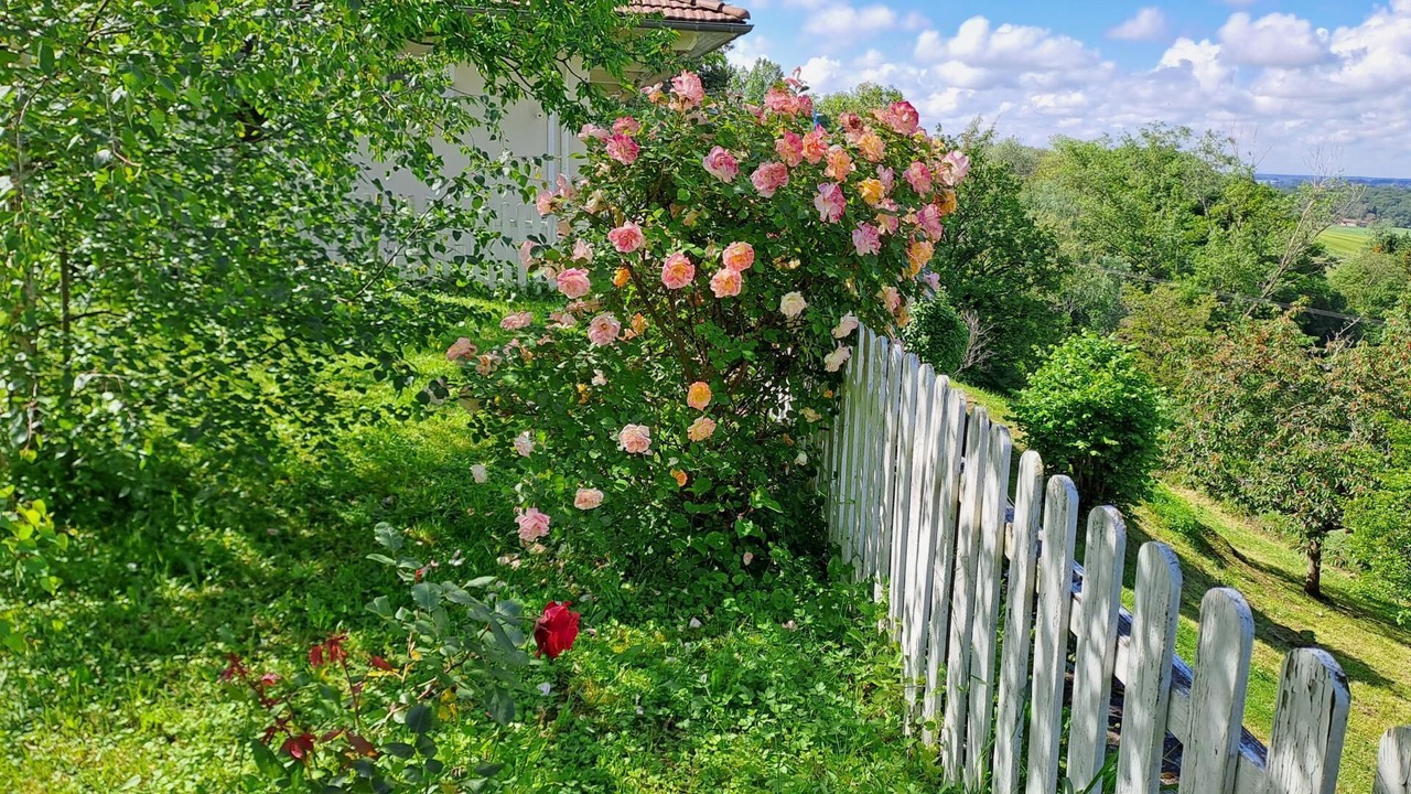 Photo of Outdoor in Coligny