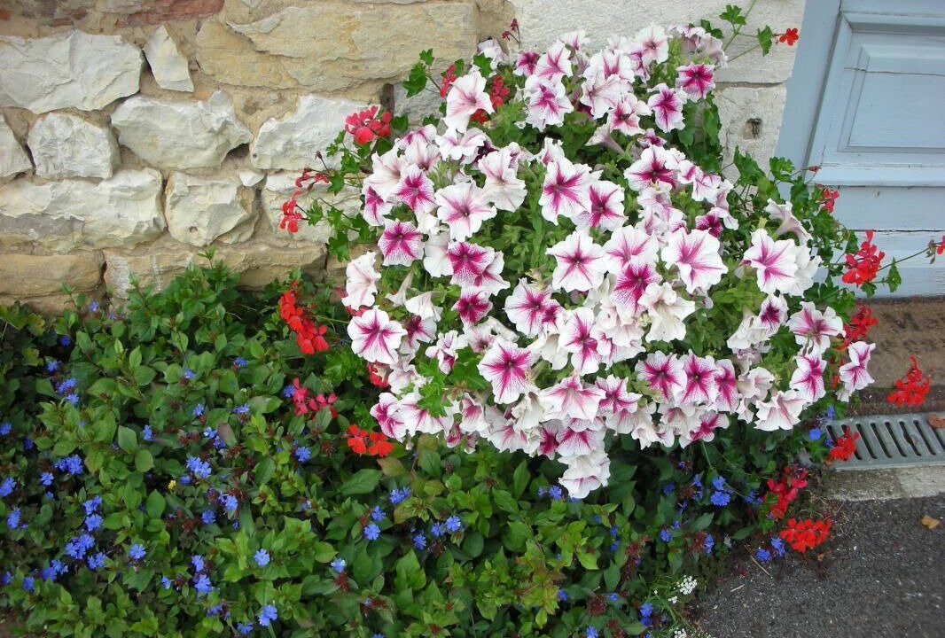 Photo of Outdoor in Coligny