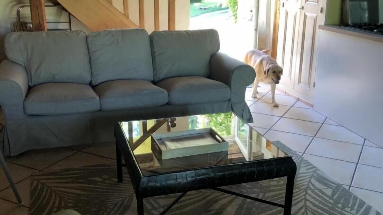 Photo of Livingroom in Pont-d'Ain