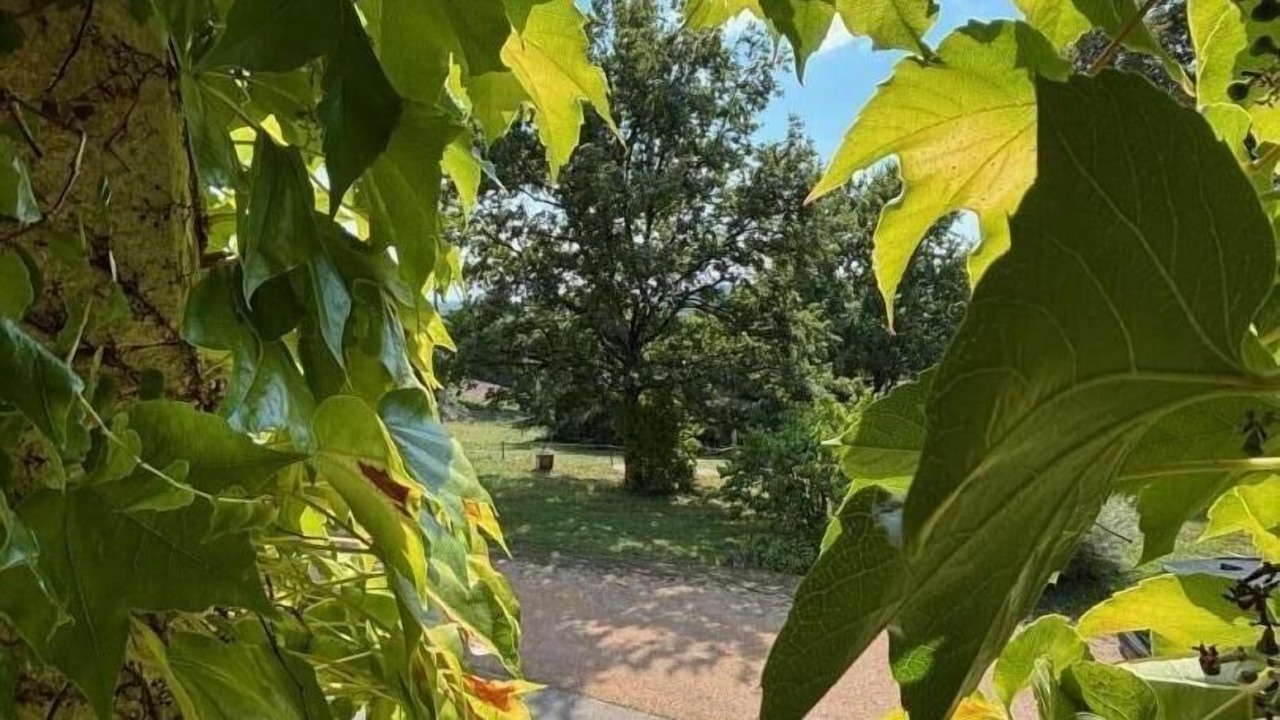 Photo of Outdoor in Pont-d'Ain