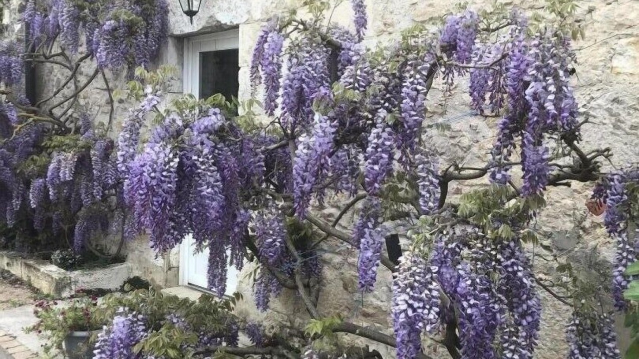 Photo of Outdoor in Pont-d'Ain