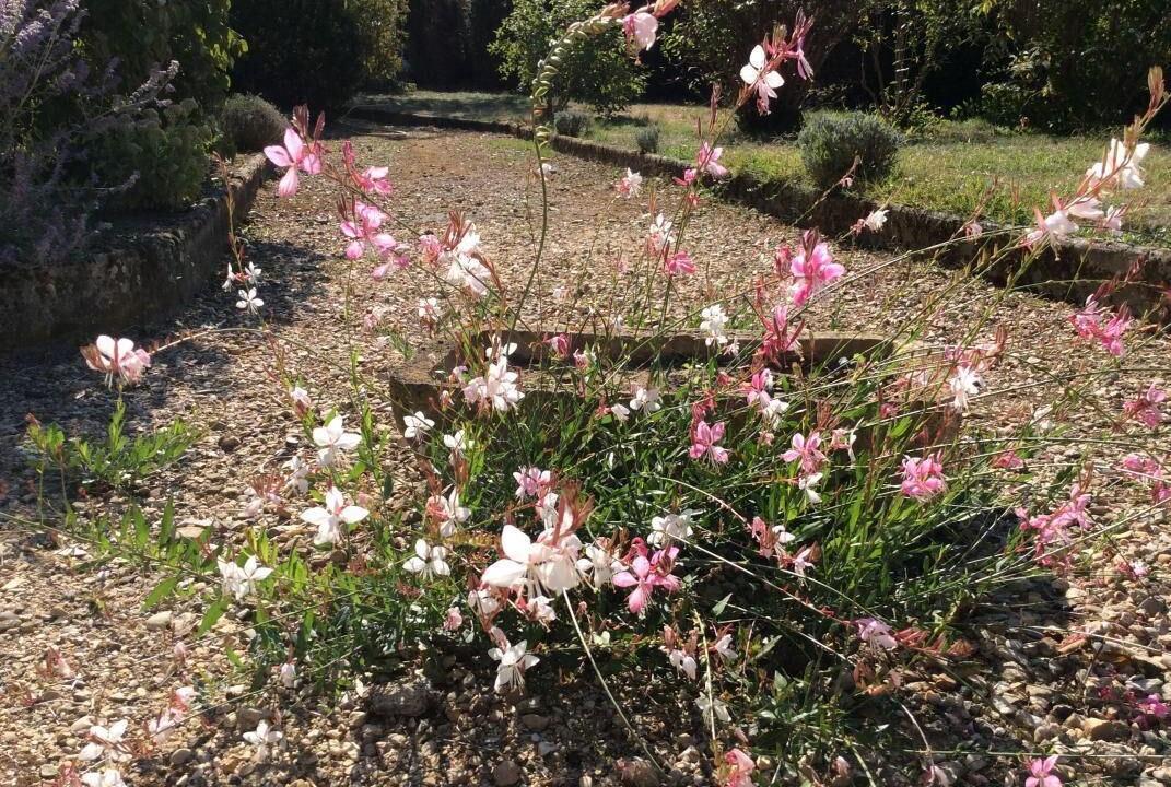 Photo of Outdoor in Grieges