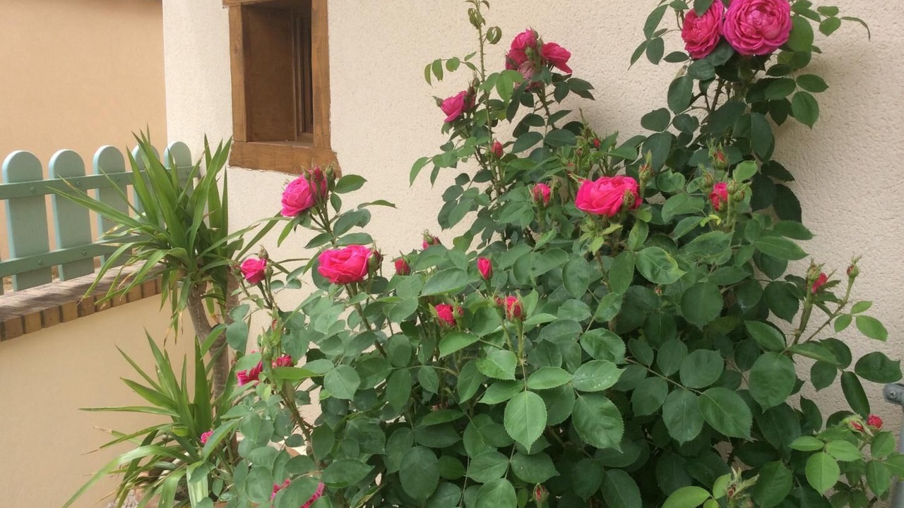 Photo of Outdoor in Grieges
