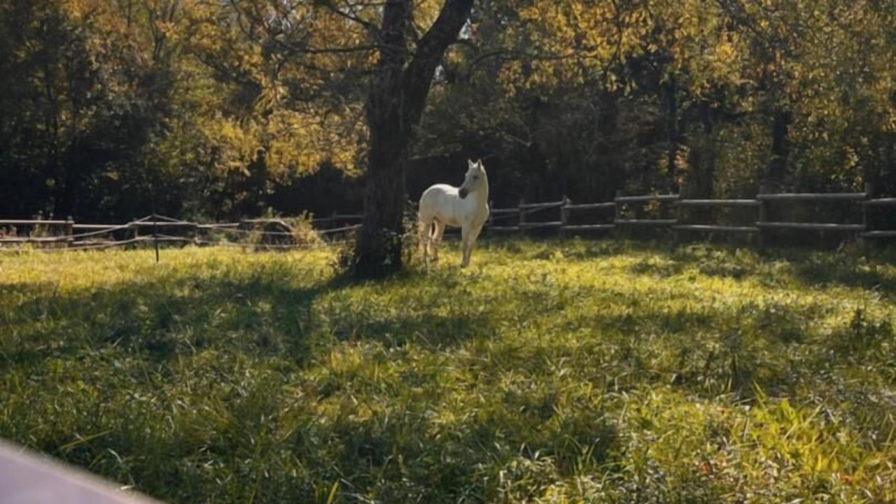 Photo of Others in Saint-Champ