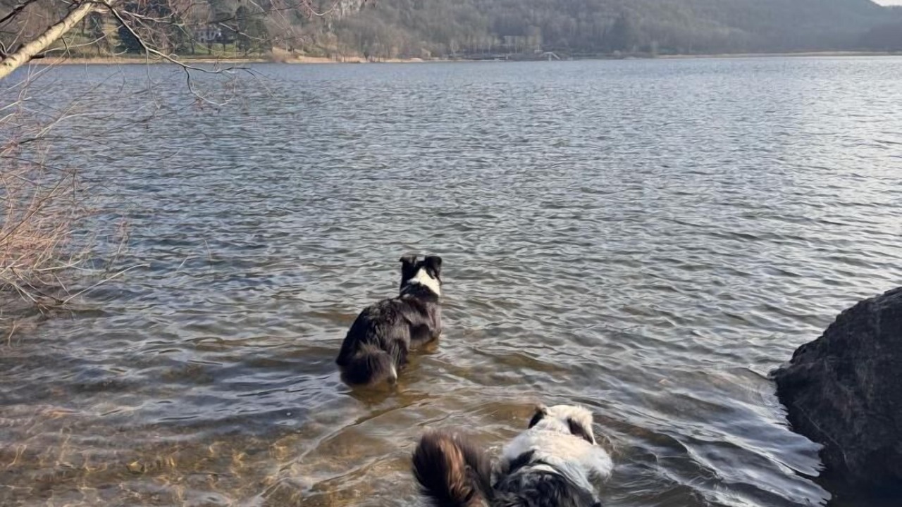 Photo of Others in Saint-Champ