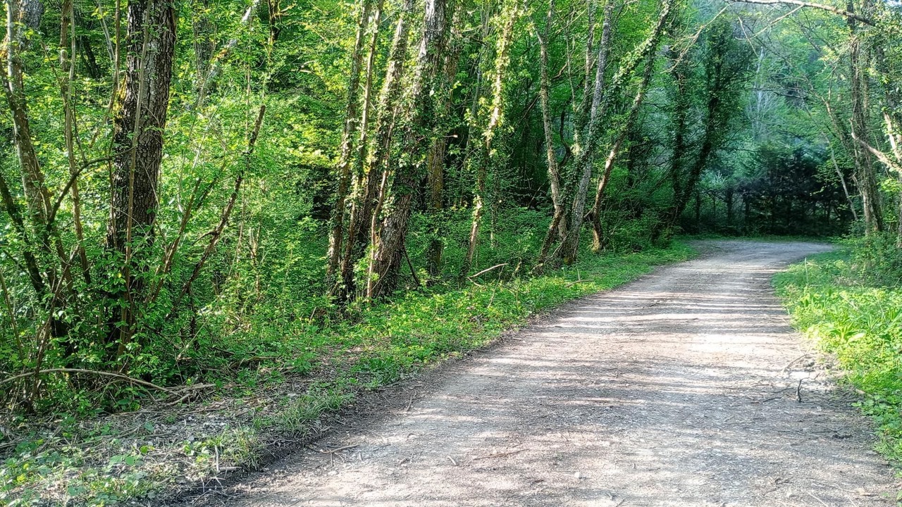 Photo of Others in Saint-Champ