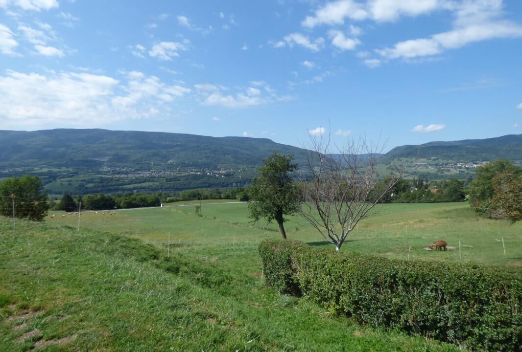 Photo of Others in Confort