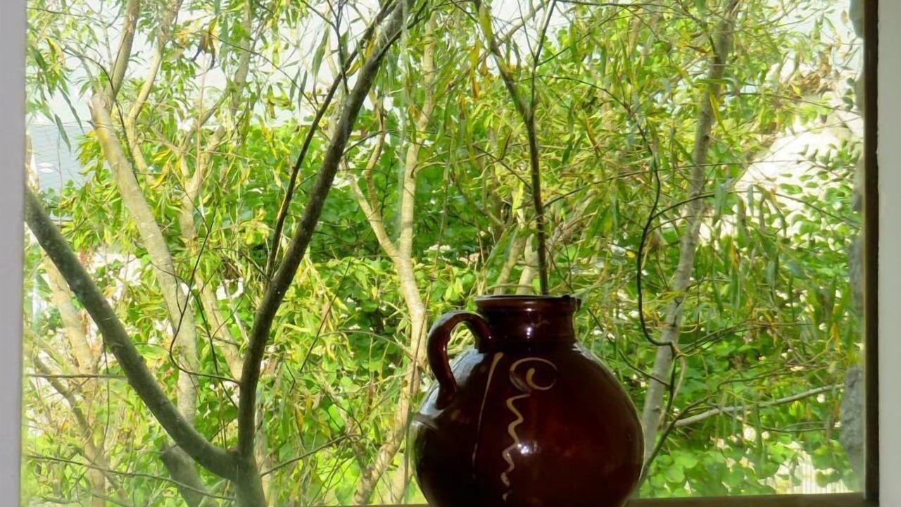 Photo of Others in Ceyzerieu