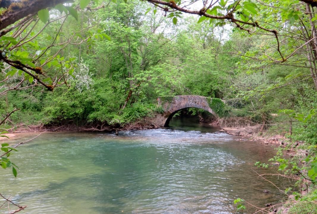 Photo of Others in Ceyzerieu