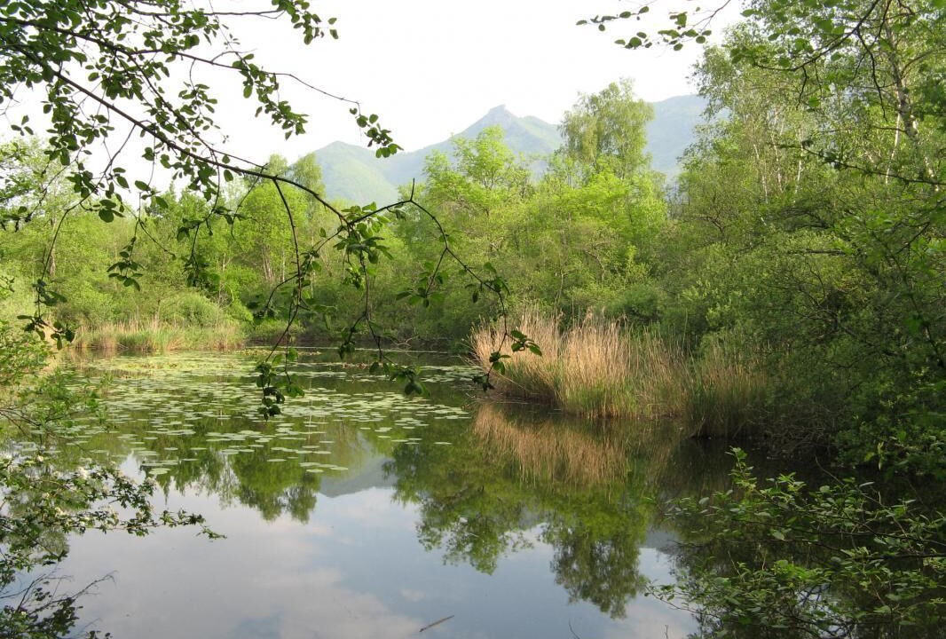 Photo of Outdoor in Ceyzerieu
